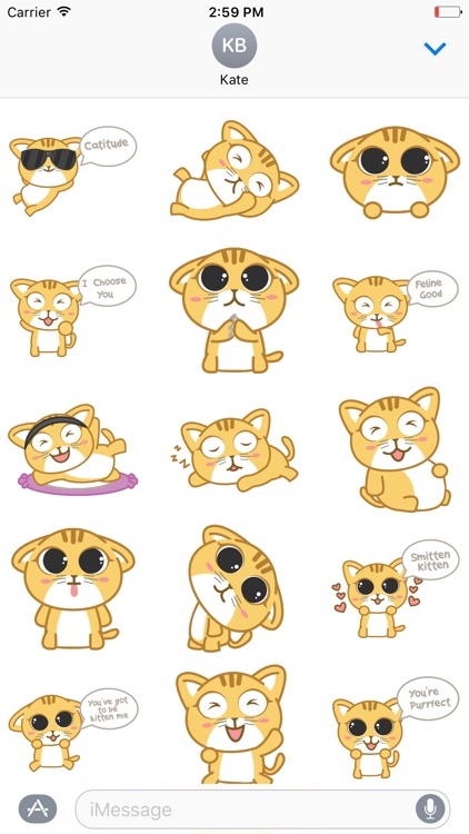 Cattitude - Cat Stickers