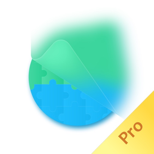 Decode Puzzle Pro Icon