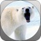 Deadly Wild Polar Bear Attack Simulator