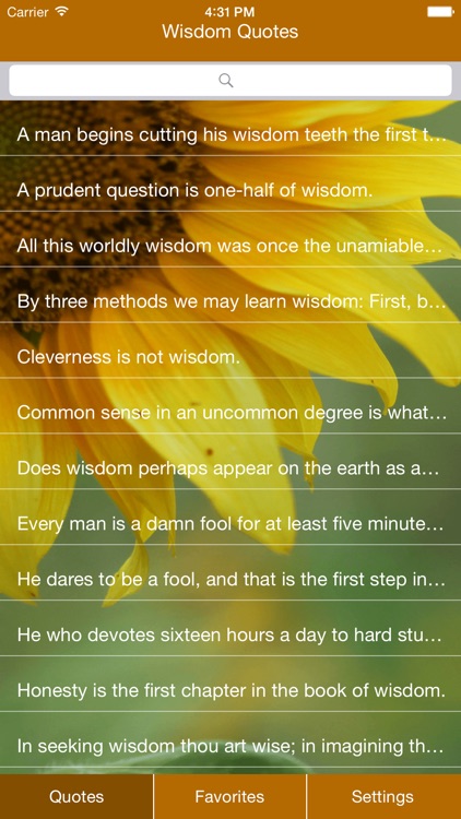 Wisdom's Quotes