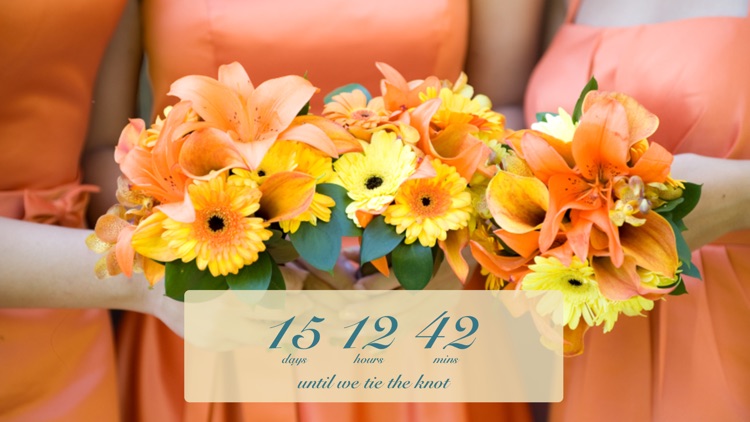 Wedding Countdown screenshot-3