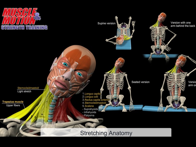 Muscle and Motion Strength Training screenshot-3