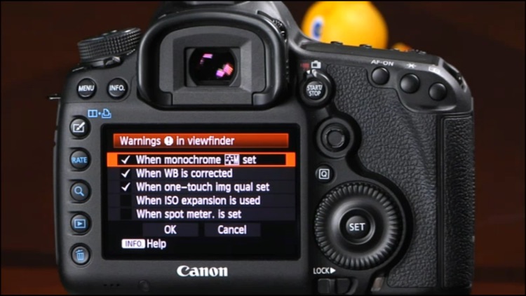 Canon 5D Mark III Beyond the Basics QuickPro HD screenshot-4