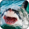 Shark Revenge 3D simulator Sharks Attacks