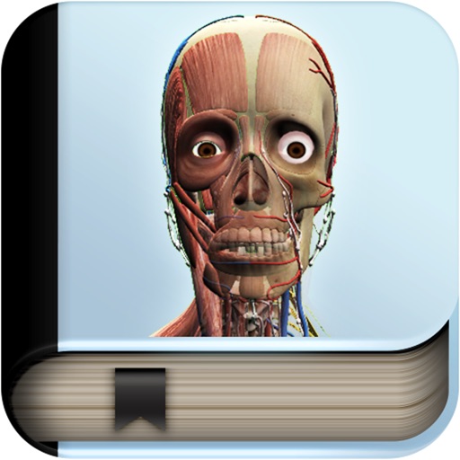 Explain 3D: Human body