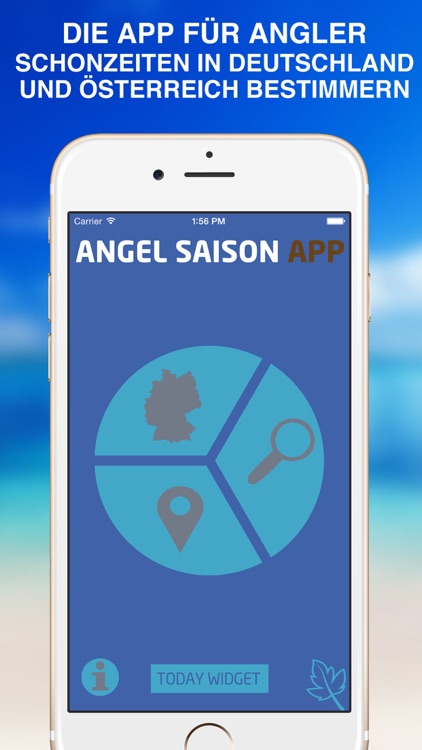 Angel Saison