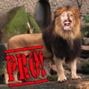 Zoo Me Pro