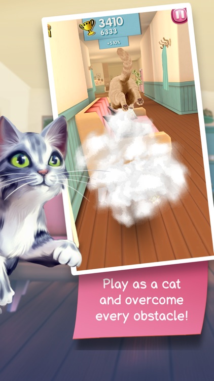 Cat Run - Cats on the go screenshot-0