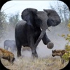 Angry Elephant Jungle Rampage