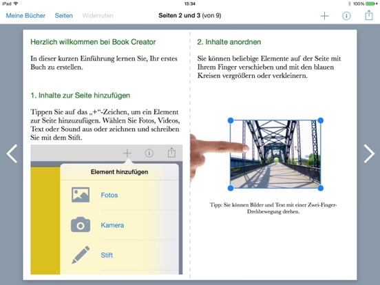 iPad Screenshot 3