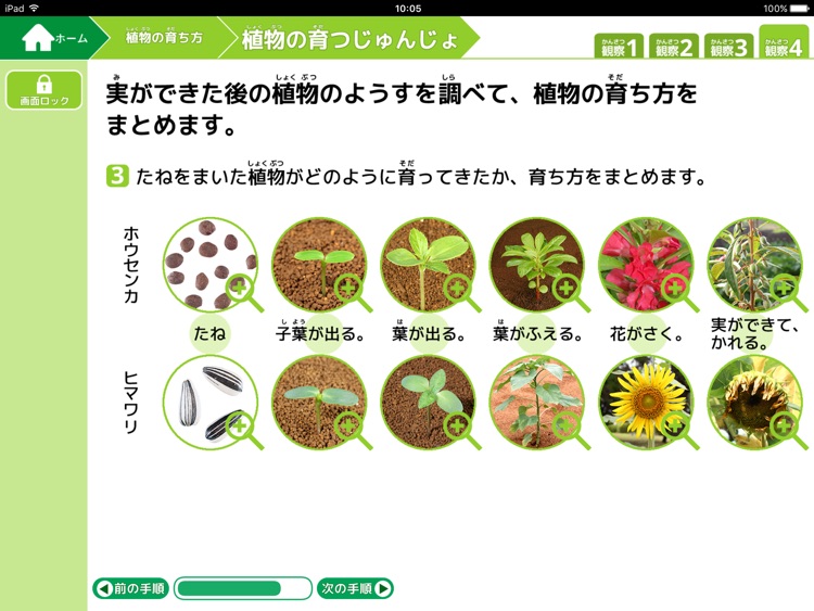 小学校の見せて教える理科 観察・実験 3年生