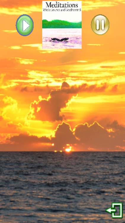 Meditations - Whale Sounds and Beethoven 8