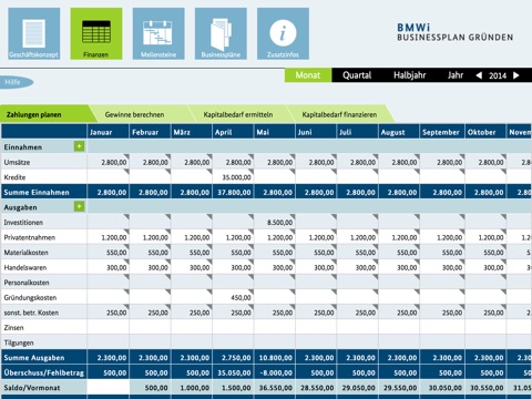 BMWi Businessplan screenshot 2