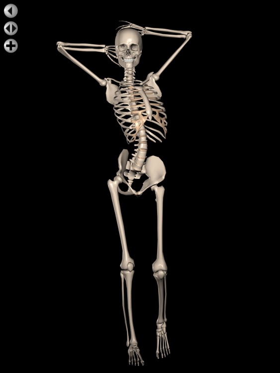 360 Anatomy for Artists HD: Female Figure screenshot-3