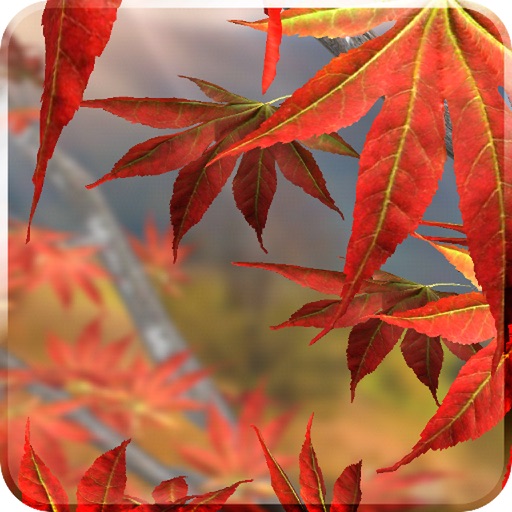 Wallpaper 1000+ HD Pro iOS App