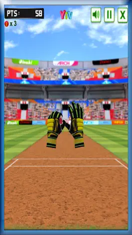 Game screenshot Cricket Fielding In Stadium apk