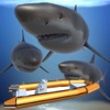 Hungry Shark Attack 3D