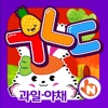 POPOYA Korean Fruits Vegetables Flashcards Full