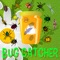 Bug Catcher Pro, No Ads