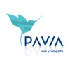 Pavia Partner
