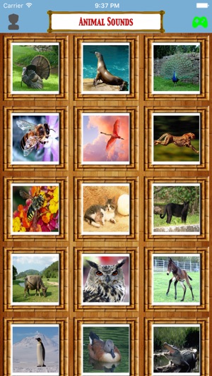 Animal Soundss(圖3)-速報App