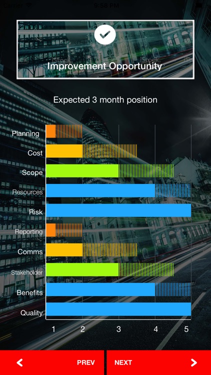 PMO Maturity Model screenshot-4