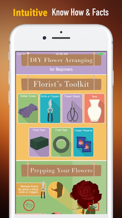 DIY Flower Arranging for Beginners-Guide and Tips