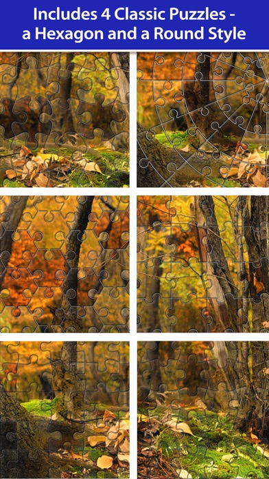 PuzziPix screenshot1