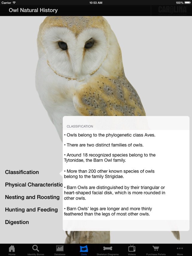 Owl Pellet Activities HD(圖4)-速報App