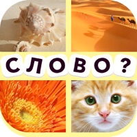 4 фотки 1 слово - Русский apk