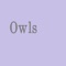 This app has 25 Questions about Owls :