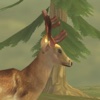 Deer Hunt 2017 - Deer hunting games for free