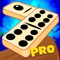 No bones about it, this fun and challenging dominoes game will totally amaze you