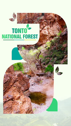 Tonto National Forest Travel Guide