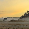 De Loonse & Drunense duinen