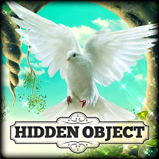 Hidden Object - Love and Light icon