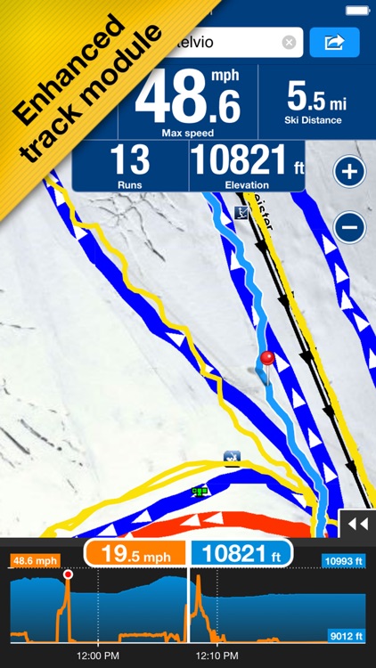 NAVIONICS SKI