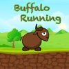 Buffalo Running