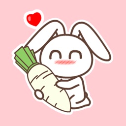 Rabbit Animated Emoji Stickers