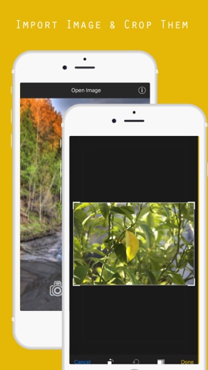 Photo Blur Background Editor Free - Quick Blur(圖2)-速報App