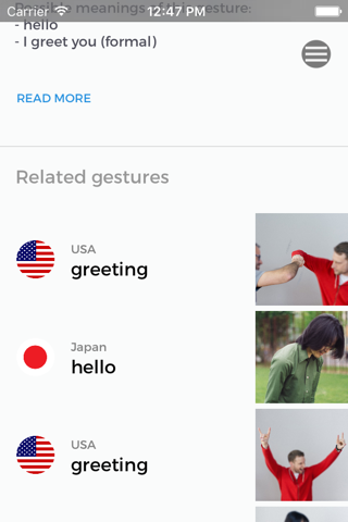 Gestunary, global gestures dictionary screenshot 2