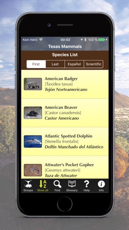 Texas Mammals - Guide to Common Species