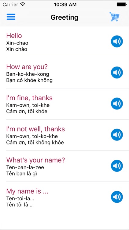 Speak Vietnamese - Phrasebook for Travel Viet Nam screenshot-4