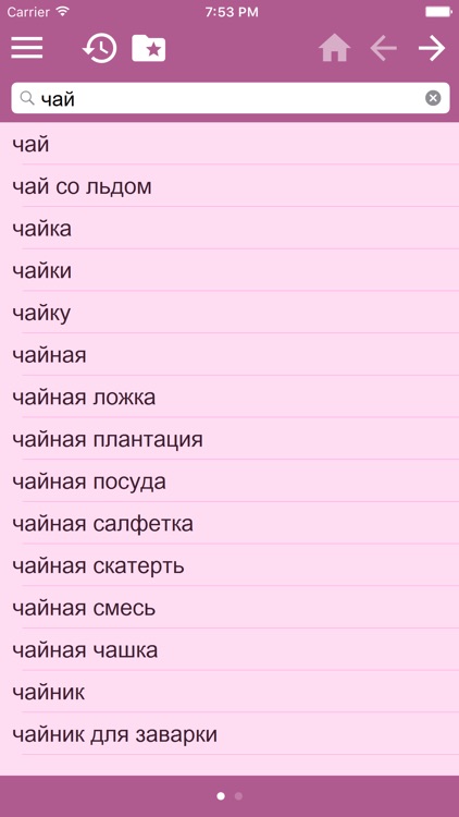 Russian Multilingual dictionary screenshot-3