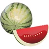 Watermelon Sticker Pack