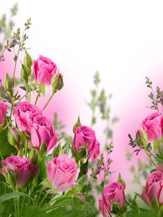 Flowers HD Wallpaper Lock Screen And Flowers Games screenshot-3