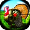 Turkey Bird Shooting Adventure Pro