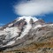 The App includes over 900 species of plants found in the Mount Rainier National Park area