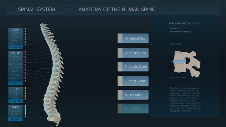 Spinal System