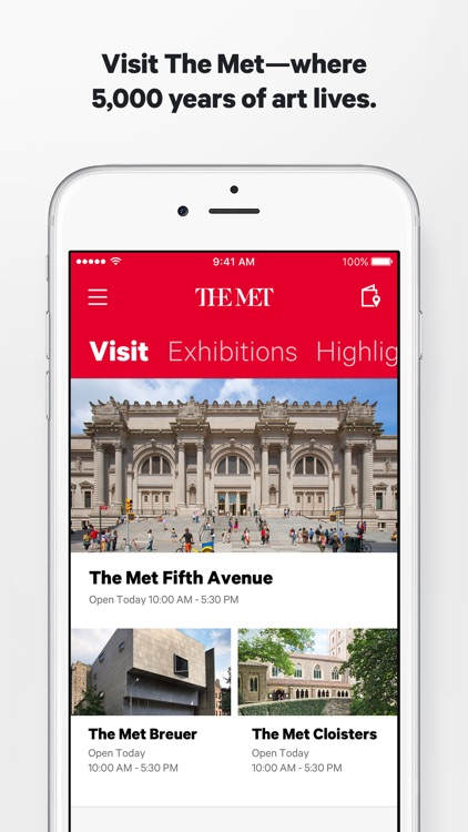 The Metropolitan Museum of Art, NYC